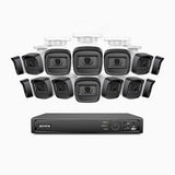 H300 - 2K 3MP 16 Channel 14 Cameras PoE Security System, EXIR 2.0 Night Vision, Motion Detection, H.265+, IP67 Waterproof