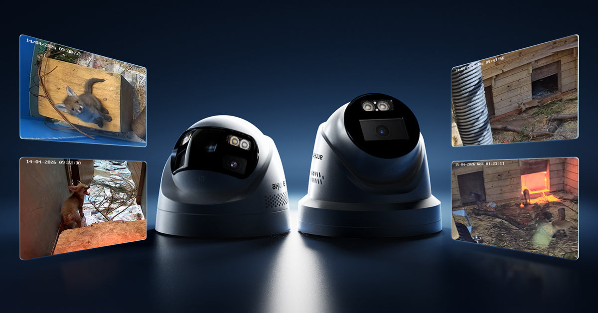 Environmental Protection Camera How Security Cameras Help Protect Wildlife: A Real Case Study