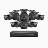 EL200 - 1080p 16 Channel Outdoor Wired Security CCTV System with 12 Cameras, 3.6 MM Lens, Smart DVR with Human & Vehicle Detection, 66 ft Infrared Night Vision, 4-in-1 Output Signal, IP67