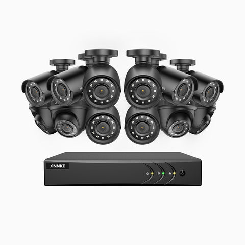E200 - 1080p 16 Channel Outdoor Wired CCTV System with 8 Bullet & 4 Turret Cameras, Smart DVR with Human & Vehicle Detection, H.265+, 100 ft Infrared Night Vision